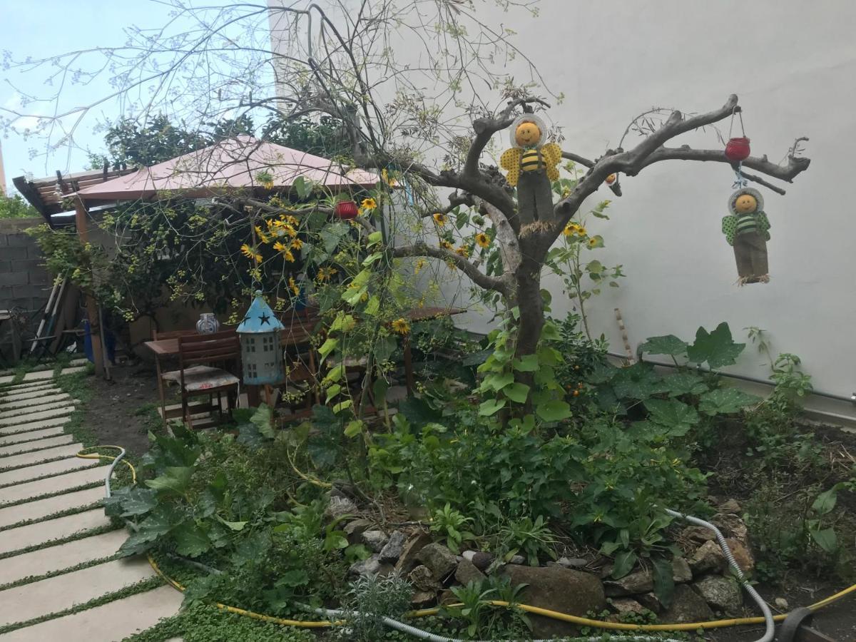 La Zagara Bed and Breakfast Furci Siculo Buitenkant foto